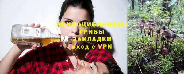 дурь Бронницы