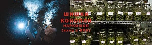 дурь Бронницы