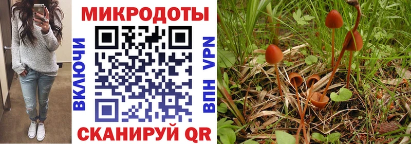 Псилоцибиновые грибы GOLDEN TEACHER  купить   Миллерово 